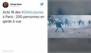 Gilets jaunes. 200 personnes placées en garde à vue à Paris