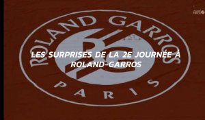 Roland-Garros. Herbert revient en force, Wozniaki tombe d'entrée, l'exploit de Parry, les surprises de la 2e journée à Roland-Garros