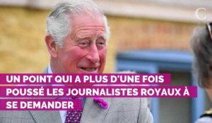 Le prince Charles n'est pas "si stupide" et sait que lorsqu'il sera roi il devra mettre de côté ses idées politiques