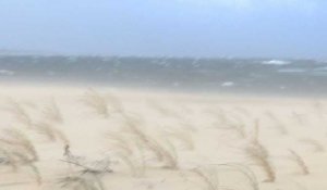Tempête Miguel: le vent balaie les plages du Cap Ferret