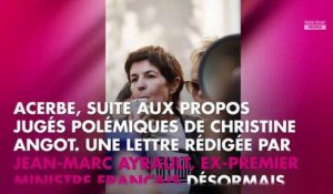 Christine Angot : un ex-ministre fustige France 2 après ses propos sur l'esclavage