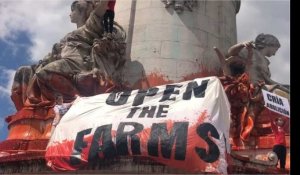 Manifestation à Paris contre la maltraitance animale et pour la fermeture des abattoirs