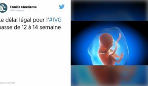 Sénat. L'allongement des délais de l'IVG est voté car l'hémicycle était dégarni