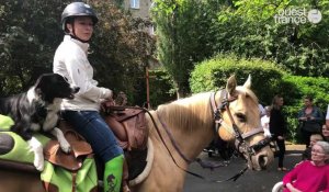 Rennes. Le merveilleux tour de France à cheval d'Aurélie pour donner de l'espoir aux personnes en situation de handicap