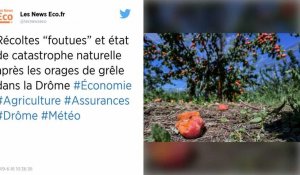 Orages. Un mort en Haute-Savoie, gros dégâts dans la Drôme : vers l'état de catastrophe naturelle
