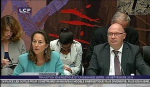 Ségolène Royal se fait complimenter par un député UMP en pleine audition
