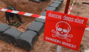 La Thaïlande détruit les restes de son stock de mines antipersonnel