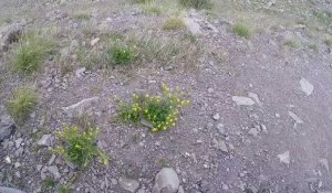 La tyrolienne d'Orcières, entre envolée et découverte du territoire haut-alpin