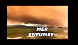 En Grèce, les images de l&#39;impressionnante fumée d&#39;incendie qui transforme le littoral