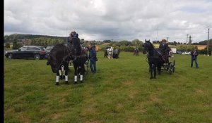 La fete de l'attelage