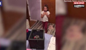 Une petite fille reçoit un chaton : Elle fond en larmes (vidéo)