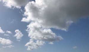 Le saut en parachute de l'Armee de l'air s'achève sur le sable parmi le public