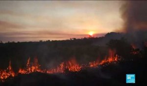 Des feux de forêts importants touchent l'Amazonie, Bolsonaro accuse les ONG.