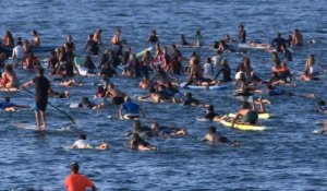 G7: 350 surfeurs se jettent à l'eau pour défendre les océans