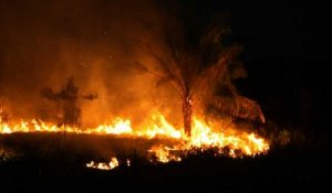 Images nocturnes de feux de forêt dans l'Amazonie brésilienne