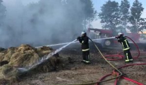  Incendie dans un centre équestre de Witry-lès-Reims (2)