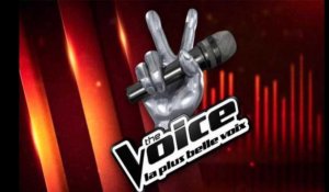 Marc Lavoine, Lara Fabian, Amel Bent et Pascal Obispo, nouveaux coachs de The Voice France