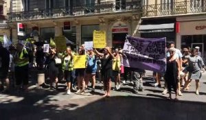 Avignon : les gilets jaunes marchent en mémoire de Steve