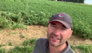 Coup de gueule : Bruno Cardot, agriculteur à dénonce le vol de ses pommes de terre