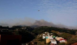 "Drame environnemental" à Grande Canarie, ravagée par le feu