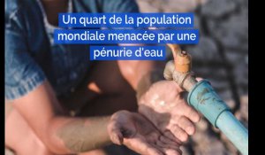 Un quart de la population mondiale menacée par une pénurie d'eau 