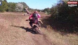 La violente collision entre un motard et un cerf lors d'une course (vidéo)