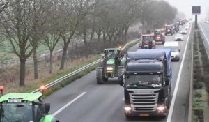 Eecke A25 : le convoi des agriculteurs en colère en route pour Lille