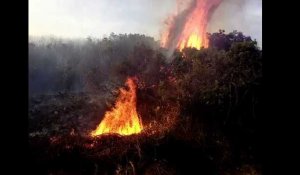 L&#39;incendie d&#39;Olmeta di Tuda en Haute-Corse inquiète les sapeurs-pompiers