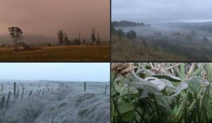 Le froid détruit 48.000 hectares de cultures dans le centre de la Colombie