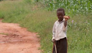 Un repas par jour: la Zambie touchée de plein fouet par la crise climatique