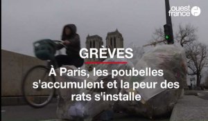 Grèves: à Paris, les poubelles s'accumulent et la peur des rats s'installe