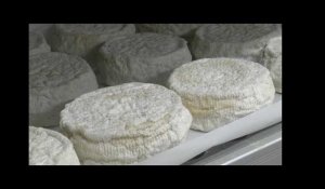 Une journée avec le berger Jean-Michel Casalta : la confection du fromage