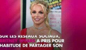 Britney Spears : ses peintures bientôt mises à l'honneur dans une exposition en France