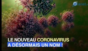 Quel est le nouveau nom du coronavirus ?
