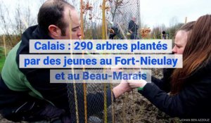Calais : 290 arbres plantés par des jeunes au Fort-Nieulay et au Beau-Marais