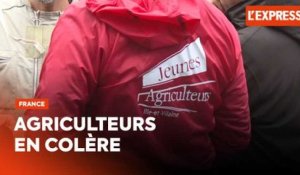 Pesticides : des agriculteurs déversent du fumier à Lille, Douai et Valenciennes