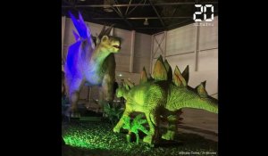 Une exposition rassemble 25 dinosaures articulés grandeur nature 