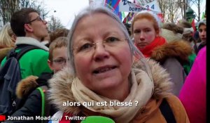 La députée de l'Oise Agnès Thill présente à la manif anti-PMA