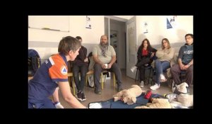 Apprendre les gestes qui sauvent votre chien