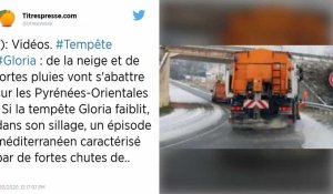 Neige et verglas : la tempête "Gloria" arrive, les Pyrénées-Orientales en alerte