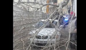 Un camion heurte un arbre à Bastia : deux blessés