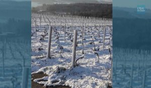 Neige et gel dans les vignes du Barséquanais, mercredi 7 avril 2021
