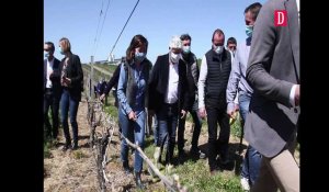 Gers : Carole Delga au chevet des viticulteurs impactés par l'épisode de gel