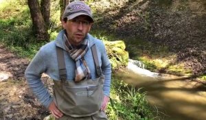 Philippe Huchet de la Fédération de pêche de la Haute-Savoie fait le point sur la situation après une pollution dans un ruisseau de Vaulx