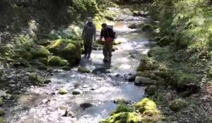 Vaulx : les pêcheurs constatent une pollution dans le ruisseau de Vaudrenaz