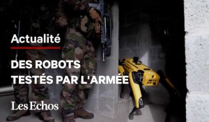 Des robots s'entraînent avec l'armée française