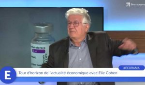 Elie Cohen : "Nous aurions dû faire du "quoi qu'il en coûte" dans le domaine sanitaire !"