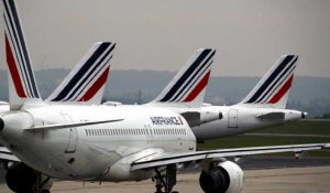 Roissy-Charles de Gaulle : arrivée des deux derniers vols Air France en provenance du Brésil