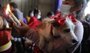 Nicaragua : ils font bénir leur chien