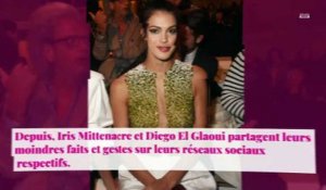 Iris Mittenaere folle amoureuse de Diego El Glaoui : baiser enflammé sur Instagram